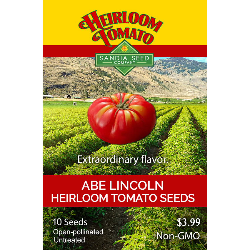 Abe Lincoln Tomato Seeds - Classic Heirloom Tomato with Extraordinary Flavor