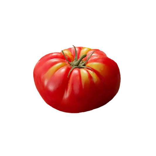 Abe Lincoln Tomato Seeds - Classic Heirloom Tomato with Extraordinary Flavor