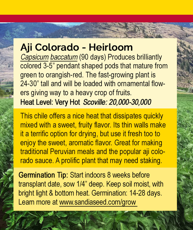 Aji Colorado Seeds - Hot Heirloom Chiles with Fruity Hot Flavor