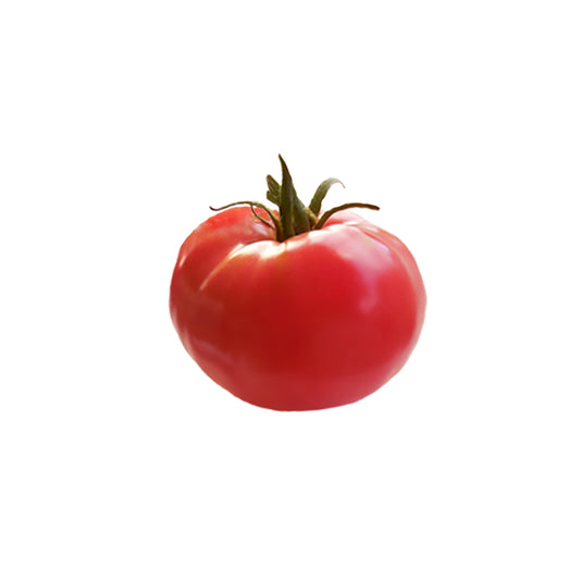 Arkansas Traveler Seeds - Heirloom Tomato Grow - Durable & Flavorful