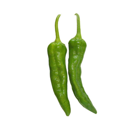 Hatch Green X Hot Chile Seeds - Barker's Hot - Great Flavor, Matures Early - ON SALE