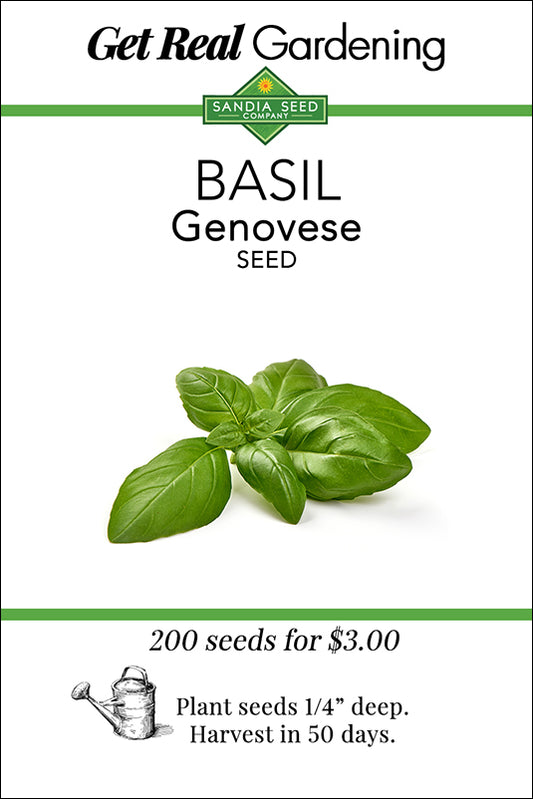 Basil Genovese Seeds