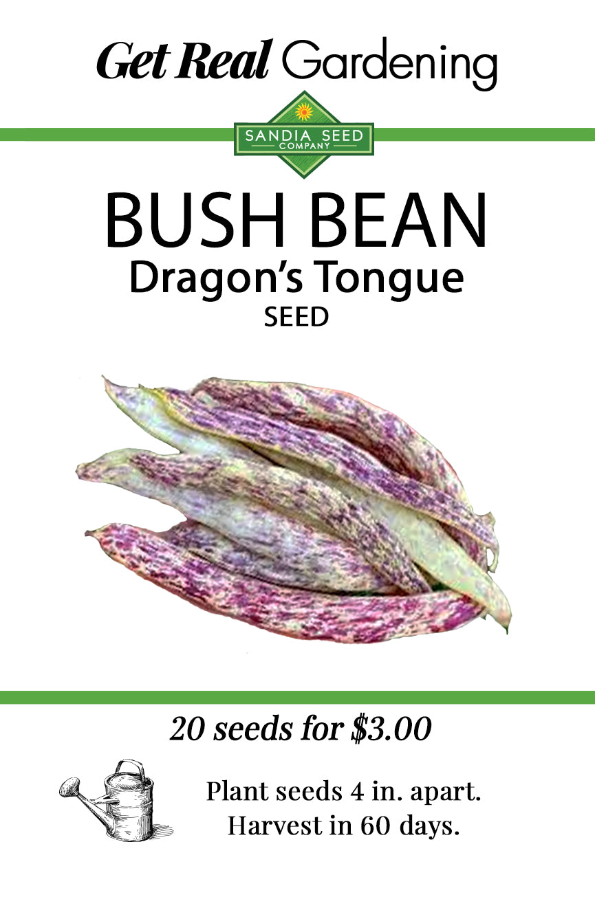 Sandia Seed Company Dragon's Tongue Bush Bean Seeds packet with colorful purple and green heirloom bean illustration, ideal for gardening