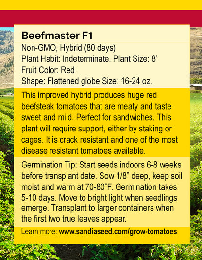 Beefmaster F1 Tomato Seeds - Big Flavor - Vigorous Disease Resistant