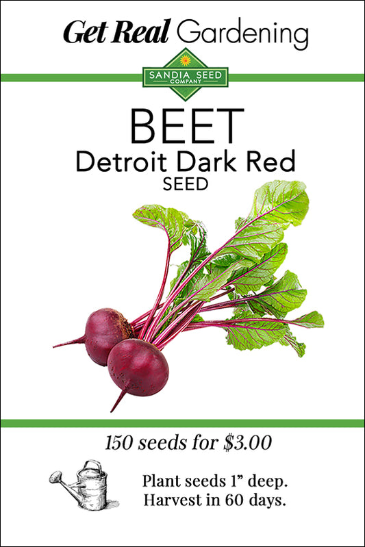 Beet - Detroit Dark Red Seeds - ON SALE