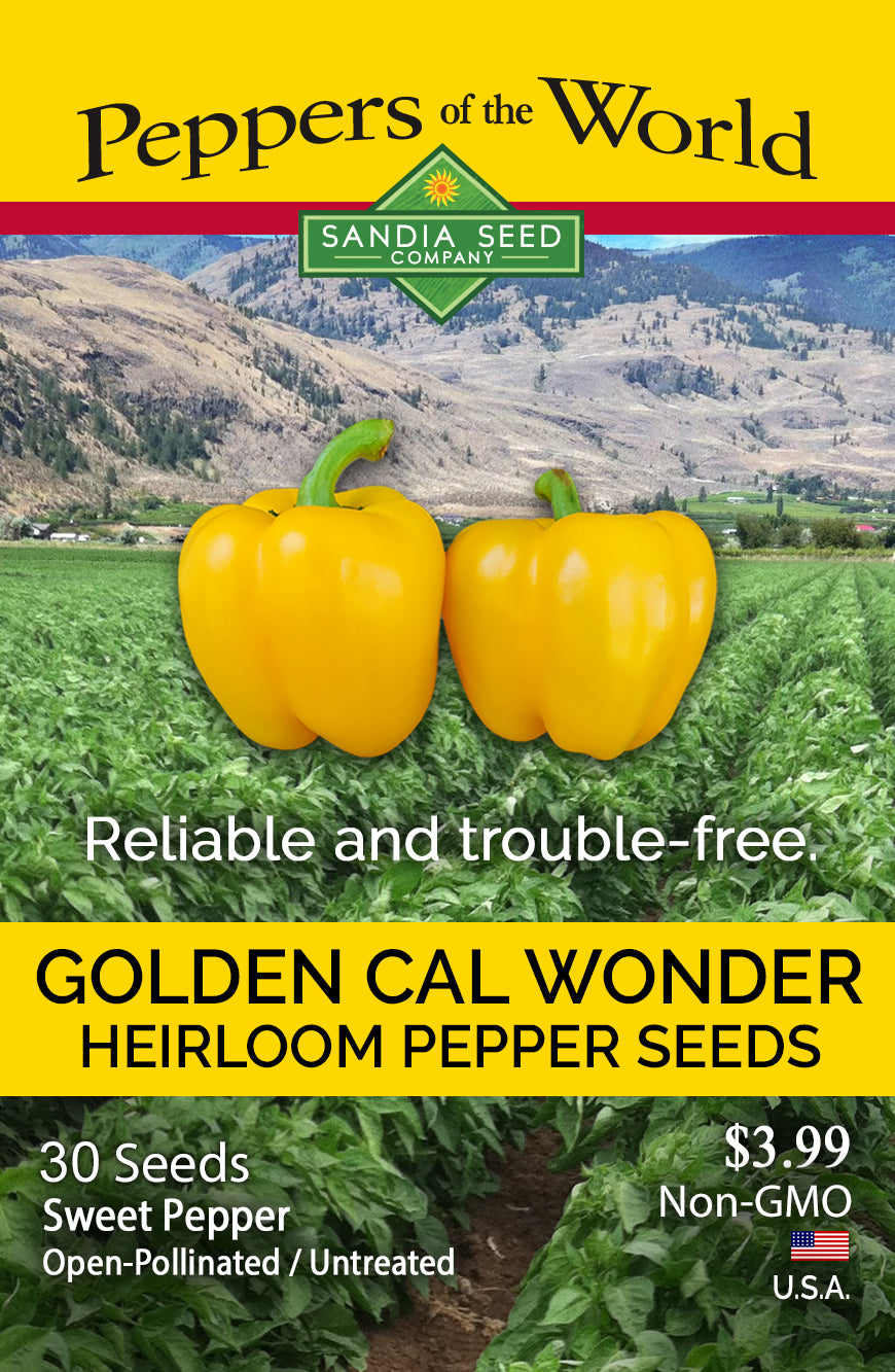 Seed packet for Sandia Seed Company Golden Cal Wonder Heirloom Pepper Seeds, featuring a yellow header, a landscape photo of a pepper field, two yellow bell peppers, and product text including '30 Seeds', 'Sweet Pepper', and 'Non-GMO'.