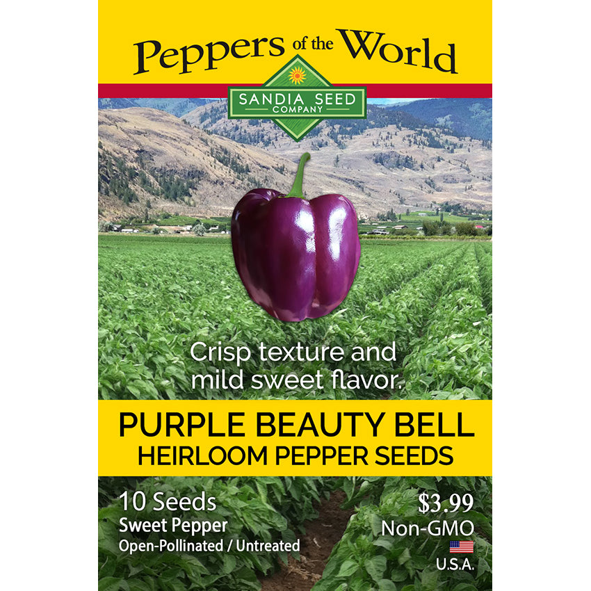 Purple Beauty Bell Seeds - Sweet Pepper - Fun to Grow