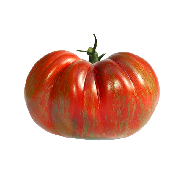 Berkeley Tie-Dye Tomato Seeds