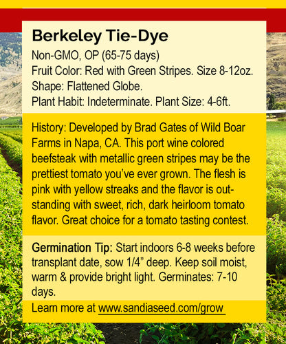 Berkeley Tie-Dye Tomato Seeds - Heirloom - Rich Flavor, Unique Stripes