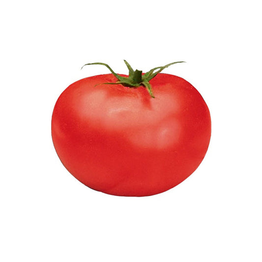 Red Better Boy tomato with green stem on a white background