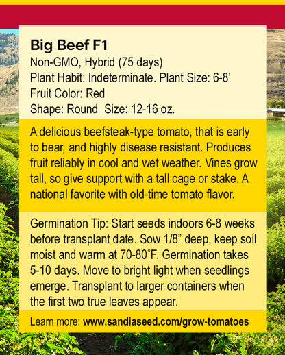 Big Beef F1 Tomato Seeds - Delicious and Juicy - Disease Resistant growing instructions with germination tips, plant height, and fruit size details.