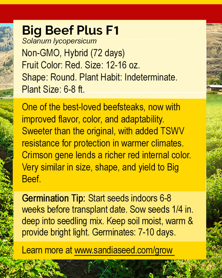 A product information card for 'Big Beef Plus F1' seeds, featuring text on a cream and yellow background with a red header and a blurred green field photo at the bottom.