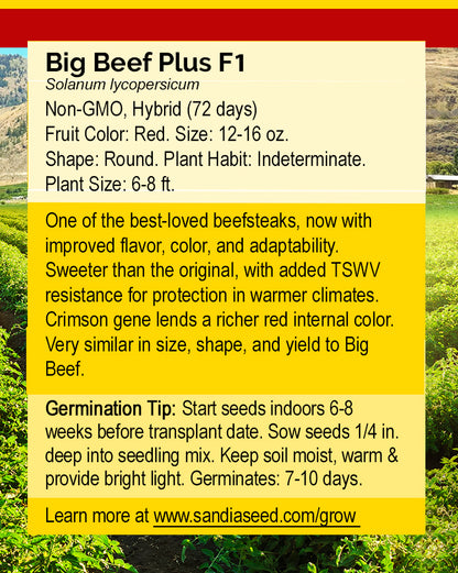 A product information card for 'Big Beef Plus F1' seeds, featuring text on a cream and yellow background with a red header and a blurred green field photo at the bottom.