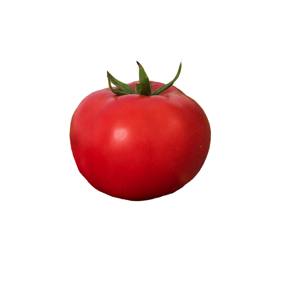 A single ripe red tomato with its green stem and calyx visible, isolated on a plain white background.