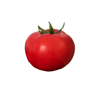 A single ripe red tomato with its green stem and calyx visible, isolated on a plain white background.