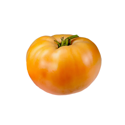 Big Rainbow Tomato with vibrant yellow and red hues, known for its juicy, sweet flavor and heirloom quality, ideal for home gardens.
