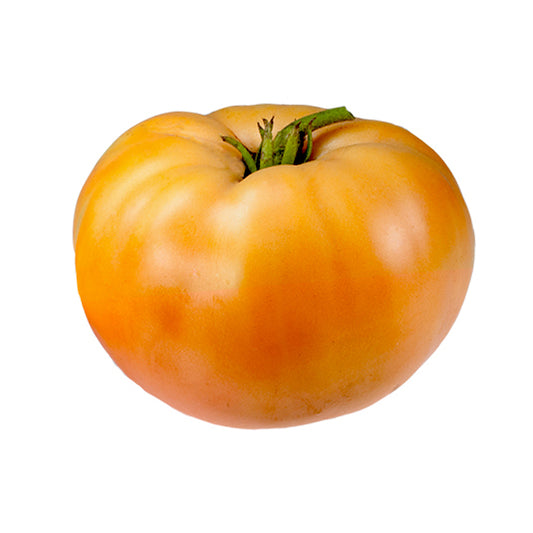 Big Rainbow Tomato Seeds