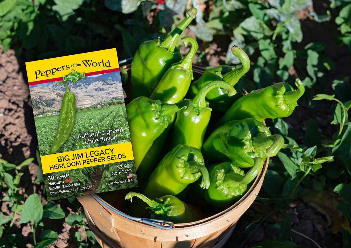 Basket of green peppers with a seed packet labeled 'Big Legacy' on a natural background.