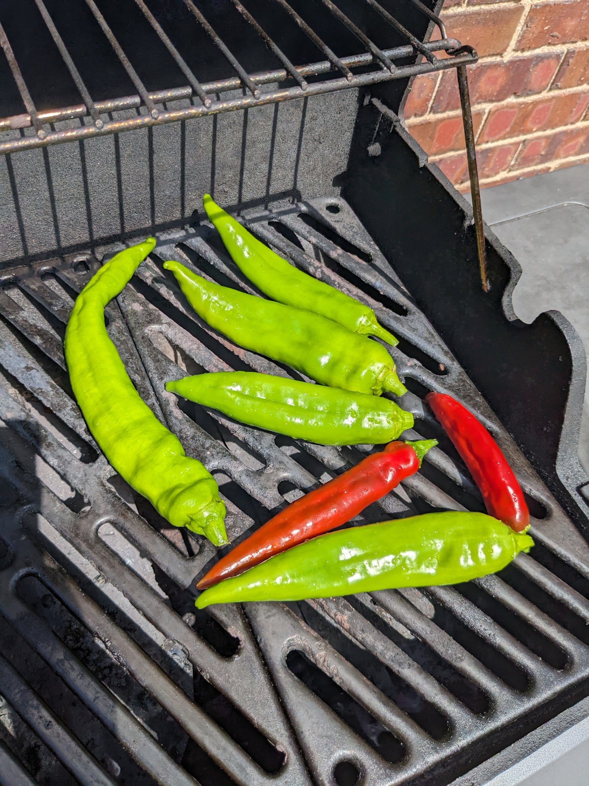 Big Jim Chile Seeds - roast them on the grill!