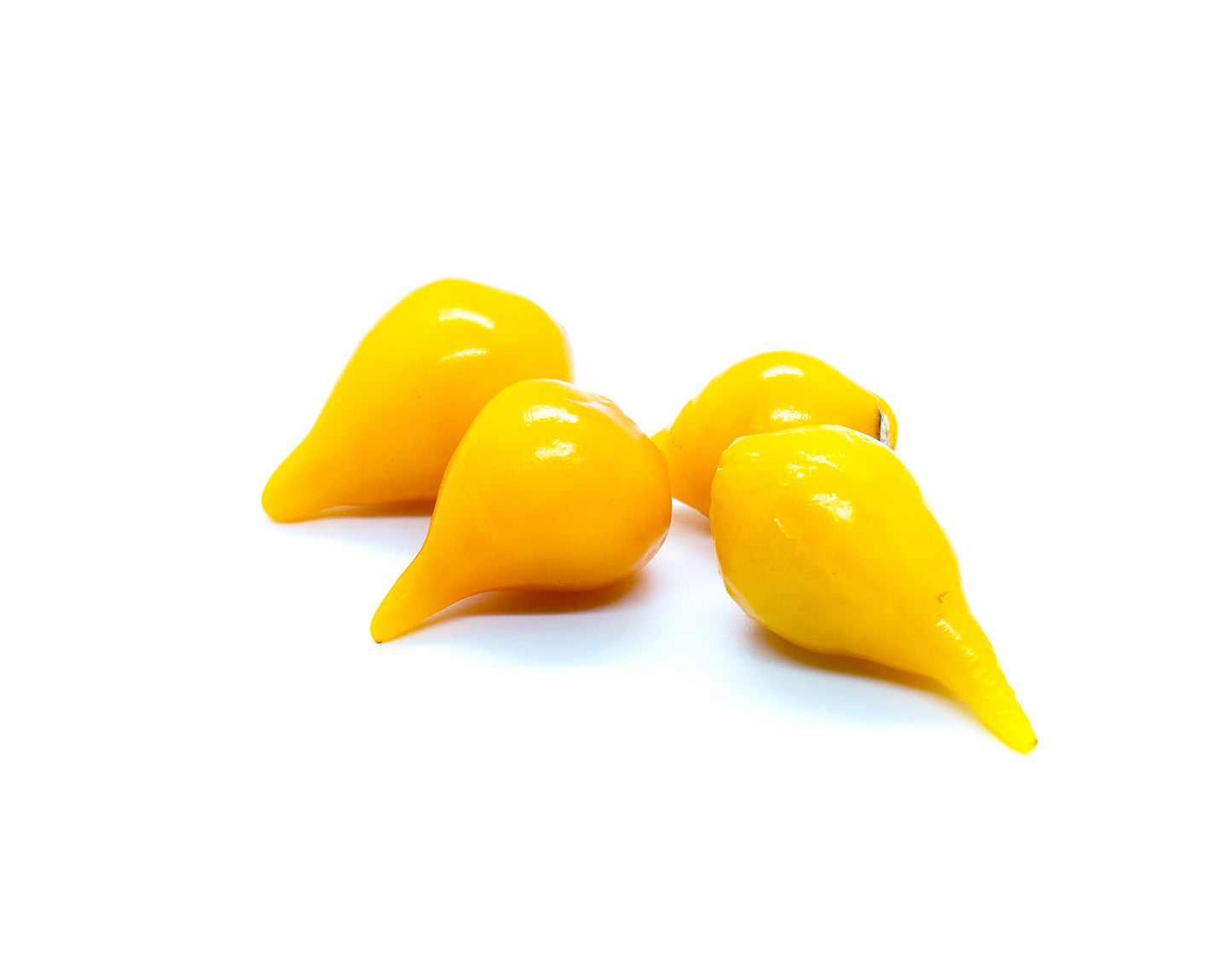 Four glossy yellow teardrop-shaped Biquinho peppers with pointed tips, arranged on a plain white background.