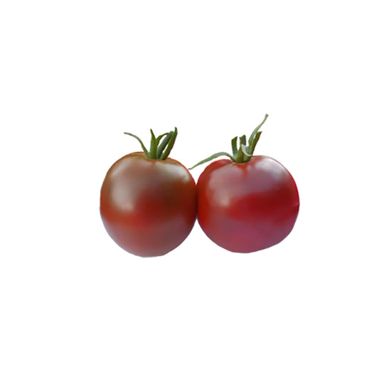 Two Black Krim tomatoes with green stems on a white background