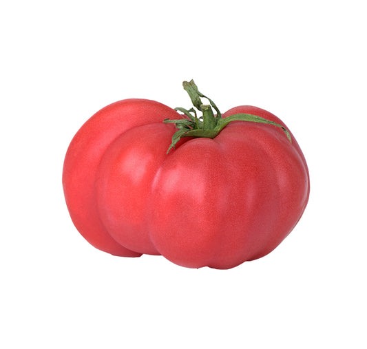 Brandywine Pink Tomato Seeds
