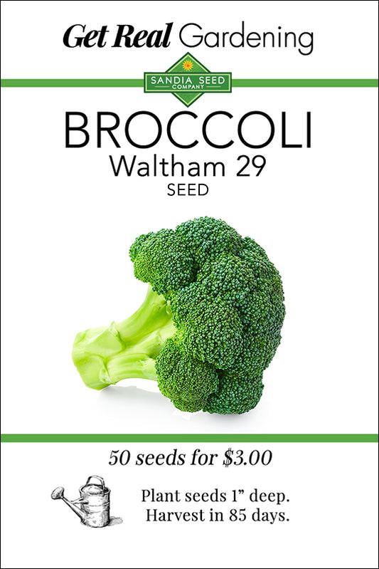 Broccoli - Waltham 29 - 50 Seeds