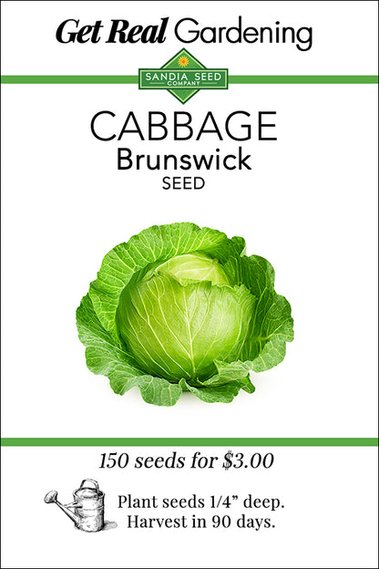 Cabbage Brunswick Seeds - ON SALE