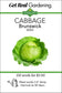 Cabbage Brunswick Seeds - ON SALE