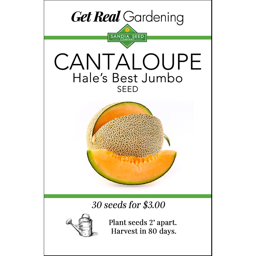 cantaloupe seeds for planting Hale's Best Jumbo Seeds - Cantaloupe Muskmelon