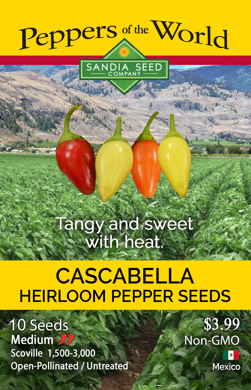 Seed packet for Sandia Seed Company Cascabella Heirloom Pepper Seeds, featuring a yellow header with the brand name, a landscape photo of a pepper field, four hanging peppers in red, yellow, and orange, and product details at the bottom.