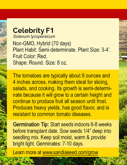 Celebrity F1 Tomato Seeds info card detailing plant traits, germination tips, and growing instructions for high-yield, flavorful hybrid tomatoes.