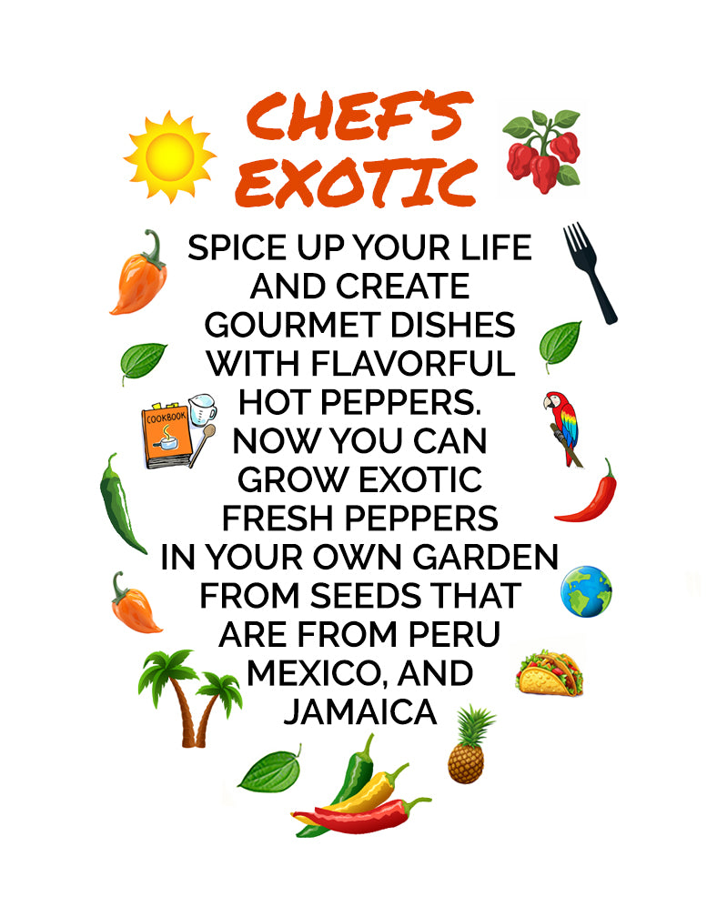 A colorful graphic poster with the title 'CHEF'S EXOTIC' in orange text, surrounded by illustrated food items such as peppers, tomatoes, a parrot, a taco, a pineapple, and a globe, with black text about growing exotic hot peppers in your own garden.