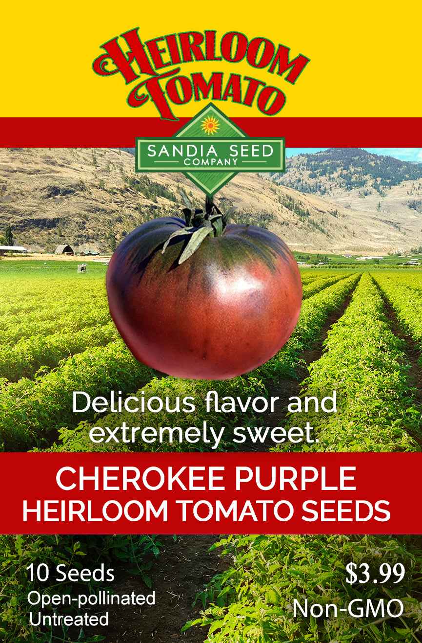 Seed packet design for Cherokee Purple Heirloom Tomato seeds by Sandia Seed Company, featuring a large illustrated Cherokee Purple tomato over a tomato field with mountains, plus product text and pricing.