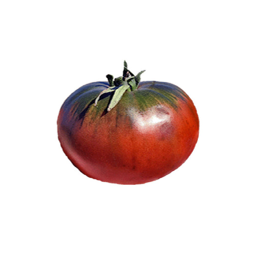 Cherokee Purple Tomato with deep purple-black skin and sweet flavor, ideal for home gardens and heat-tolerant growing conditions.