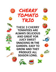 Cherry Tomato Trio Seed Bundle - 3 Pack Discount Sale - Easy to Grow - Heirloom Flavors