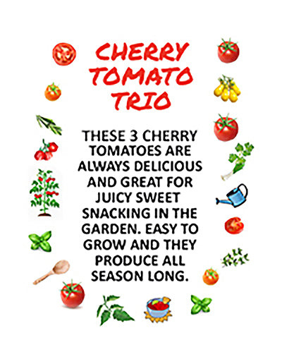 Cherry Tomato Trio Seed Bundle - 3-Pack Discount Sale - Easy to Grow - Heirloom Flavors