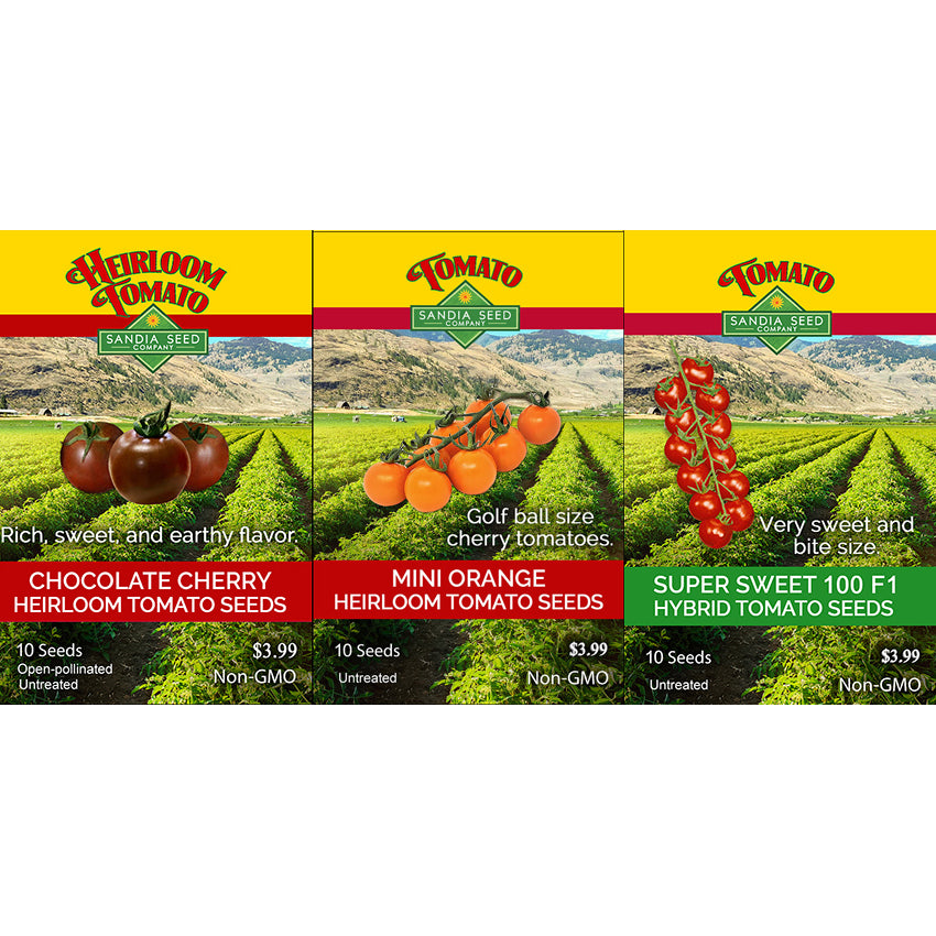 Three seed packet designs for Heirloom Tomato Seeds shown side by side: Chocolate Cherry, Mini Orange, and Super Sweet 100 F1. Each packet features a yellow top band with the red 'Heirloom Tomato Seeds' logo, a photo of tomatoes in a field, and a colored bottom band with variety details and pricing.