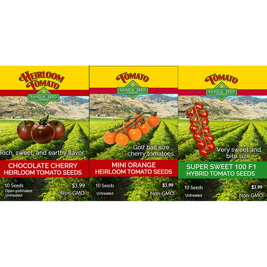 Three seed packet designs for Heirloom Tomato Seeds shown side by side: Chocolate Cherry, Mini Orange, and Super Sweet 100 F1. Each packet features a yellow top band with the red 'Heirloom Tomato Seeds' logo, a photo of tomatoes in a field, and a colored bottom band with variety details and pricing.