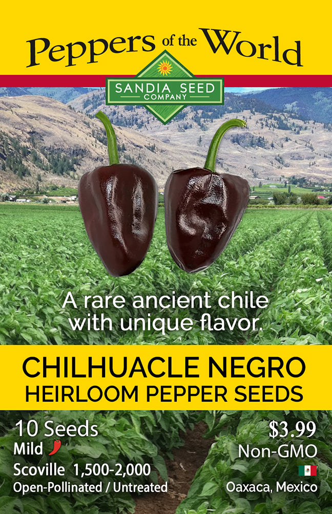 Seed packet for Chihuatele Negro heirloom pepper seeds from Sandia Seed Company, featuring two dark chili peppers over a green pepper field background with yellow text panels.