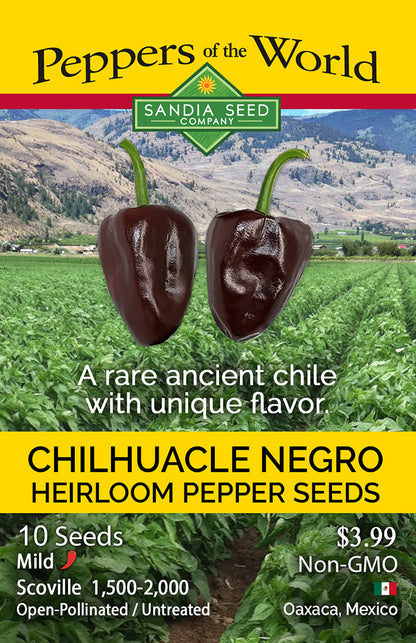 Seed packet for Chihuatele Negro heirloom pepper seeds from Sandia Seed Company, featuring two dark chili peppers over a green pepper field background with yellow text panels.