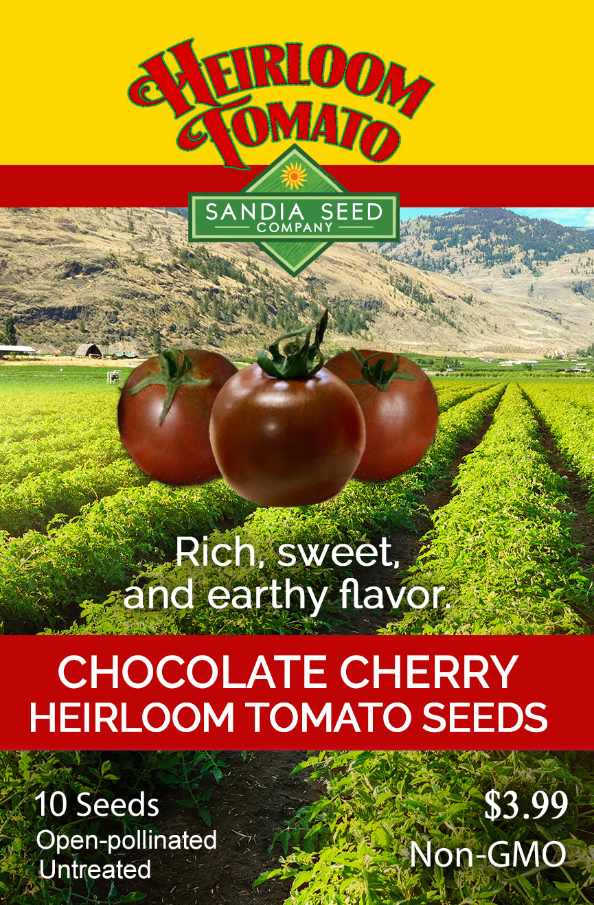 Seed packet label for Sandia Seed Company Heirloom Tomato seeds, featuring three chocolate cherry tomatoes over a tomato field with mountains, plus text reading 'Chocolate Cherry Heirloom Tomato Seeds' and '10 Seeds Open-pollinated Untreated Non-GMO $3.99'.