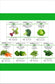 Cool-Season Vegetable Bundle with 7 Seed Packets