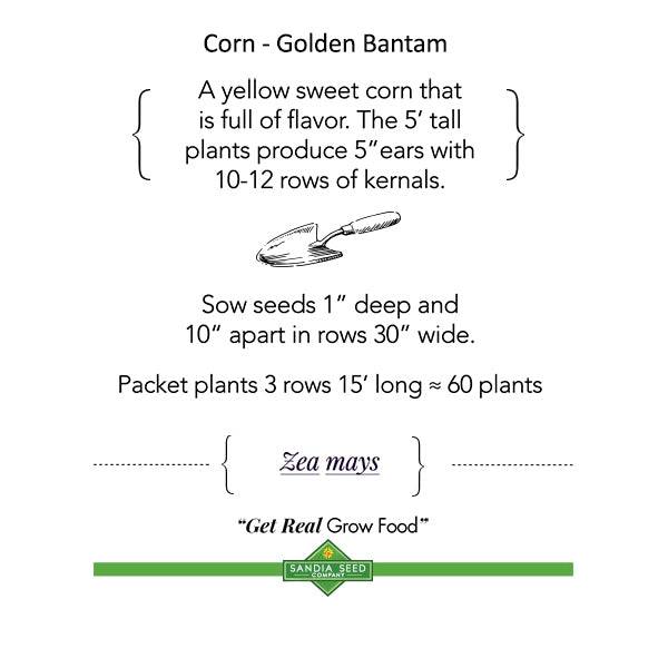 garden seeds delivered to sisters wow Three Sisters Garden 3-Pack: Corn, Pole Bean and Squash Seeds