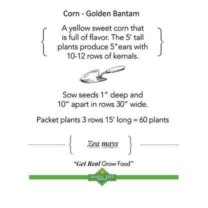 Three Sisters Garden 3-Pack: Corn, Pole Bean and Squash Seeds - 15% Off