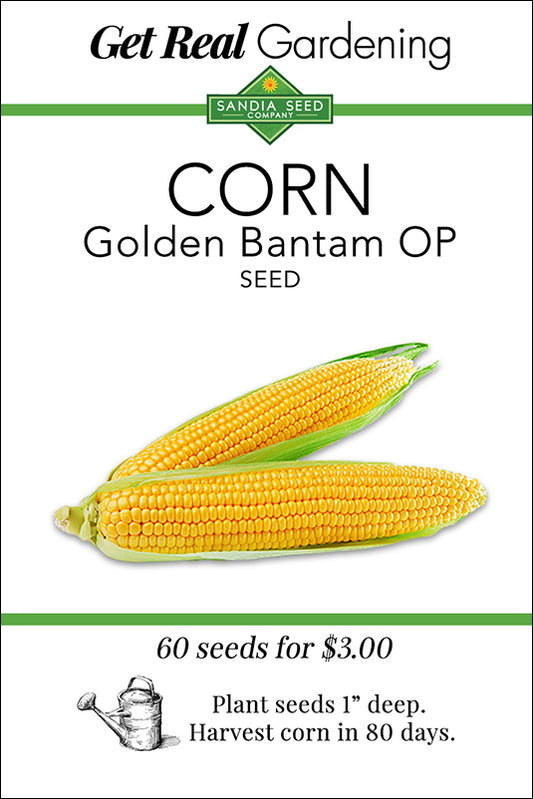 Corn - Golden Bantam Heirloom Seeds