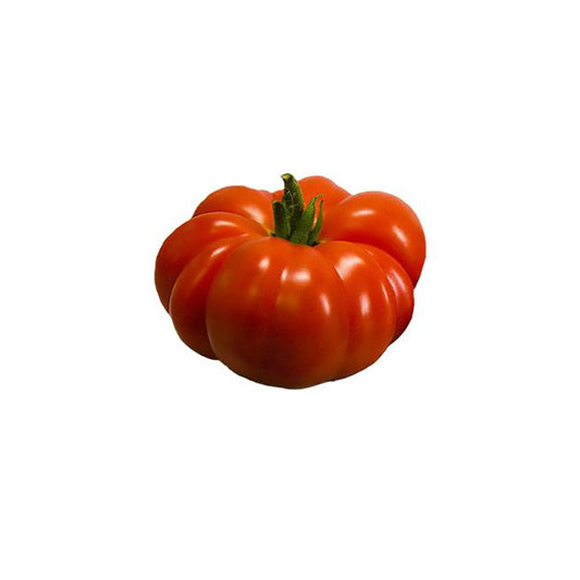 Costoluto Genovese Tomato Seeds - Italian Heirloom - Open-Pollinated