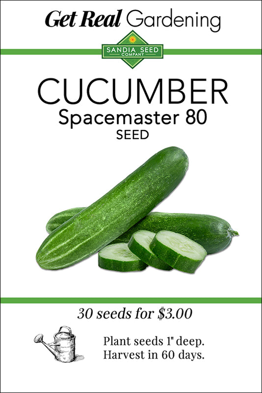 Cucumber - Spacemaster-80 - 30 Seeds