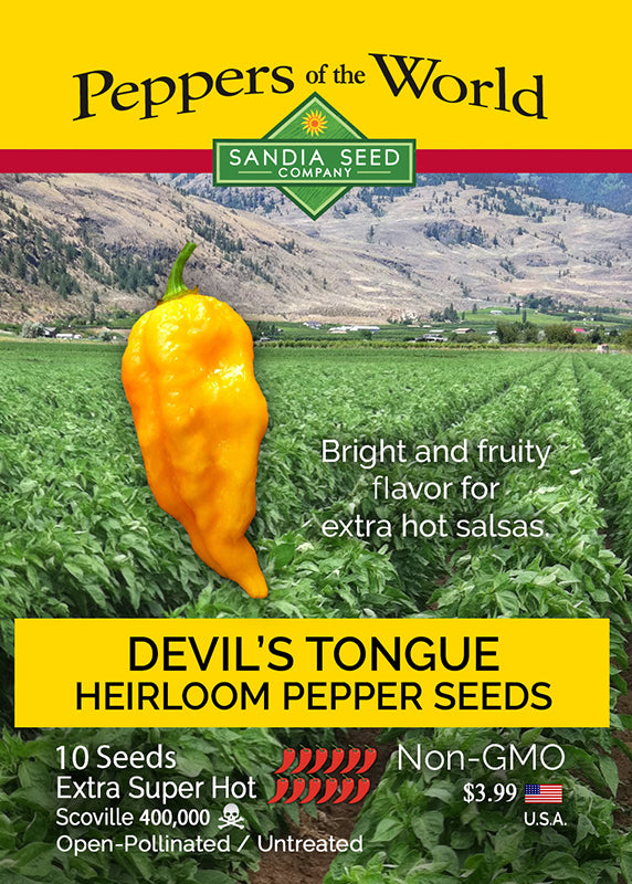 Heirloom Devils Tongue super hot pepper seeds bright and fruity flavor