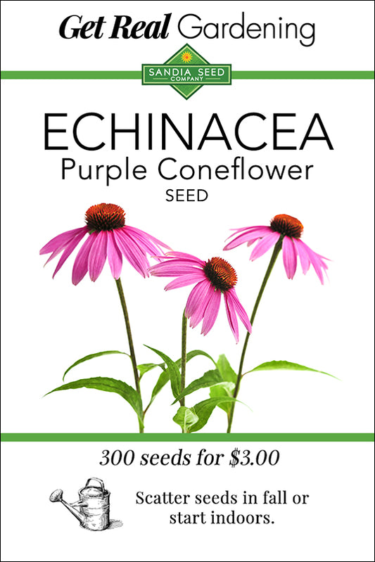 Echinacea - Purple Coneflower Seeds
